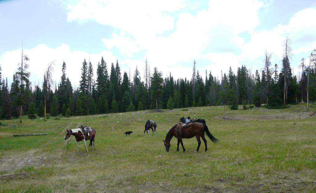 Medicine Bow Lodge Tenmile Exteriér fotografie